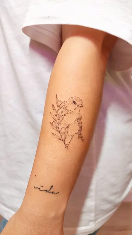 Tatuaje de pájaro y rama de olivo en brazo