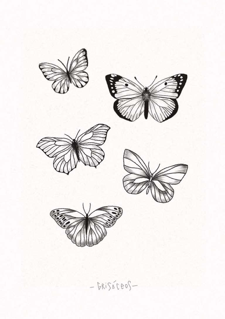 Ilustración de cinco mariposas en blanco y negro.